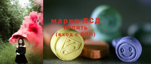 гашик Богородск