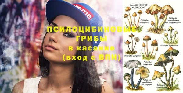 гашик Богородск