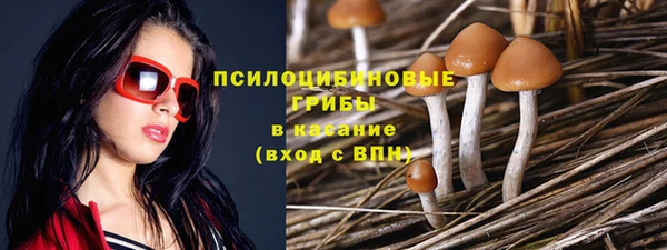 метамфетамин Богородицк